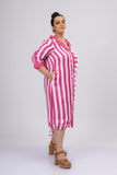 Superannuated Embroidered Shirt Dress