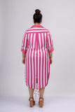 Superannuated Embroidered Shirt Dress