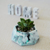 Hexagonal Planter